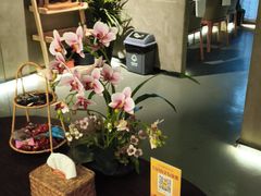 -施奈儿.洗头頭療.按摩SPA.采耳(上梅林店)