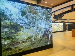 -松雷商业(南岗店)