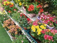 门面-山水茶艺馆·点心粤菜·30年老字号