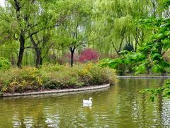 -洛阳市隋唐城遗址植物园