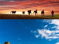 -张掖大佛寺景区