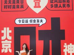 -红星美凯龙北京至尊MALL(东四环中路店)