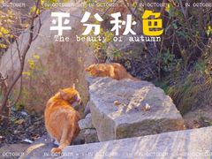 -北京凤凰岭
