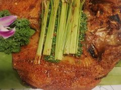 -紫滇源云南生态菜(丹凤街店)