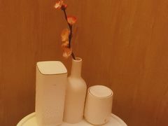 -耳道精致采耳(运达汇店)