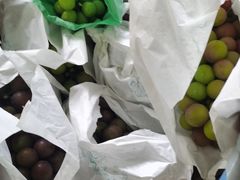 -马陆小张葡萄园农家乐