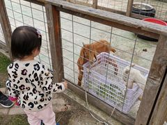 -前小桔亲子创意农场·草莓采摘·露营烧烤