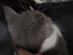 -佳雯宠物医院·皮肤科·内外科(春晓路分院)