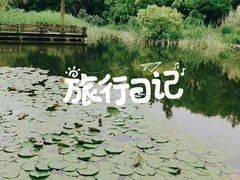 -上海吴淞炮台湾国家湿地公园
