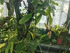 -国家植物园南园