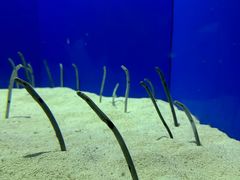 -上海海洋水族馆