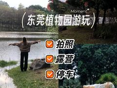 -东莞植物园