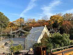 -龙猫意杯花园餐厅(芙蓉湖店)