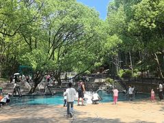 -东明山森林公园