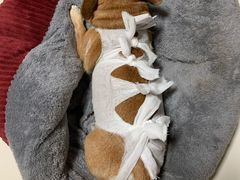 -北京博爱动物医院有限公司