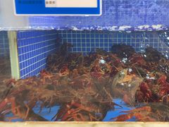 -香山湖渔家大院