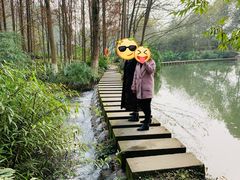 -桤木河湿地公园