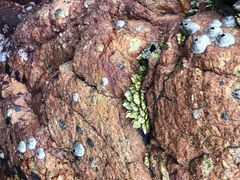 -西涌国际滨海旅游区