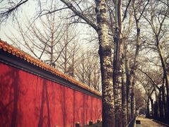 -东华门大街小区