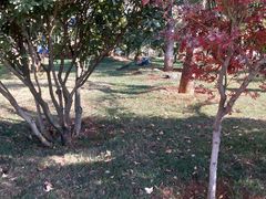 -云南艺术学院(呈贡校区)