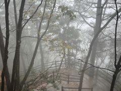 -秦岭天竺山生态文化旅游景区
