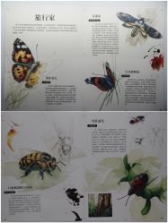 -酷嗒动物文化乐园(cutezoo西溪乐天城店)