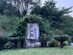 -广州白江湖森林公园