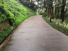 -广州雕塑公园