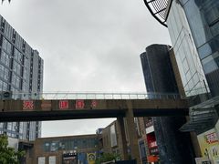 -绿地新都会