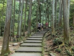 -雁荡山大龙湫景区