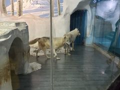 -南京海底世界