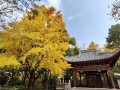 -汇龙潭