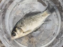 -金海湾滨江公园