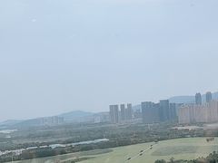 -君来湖滨饭店·渔餐厅