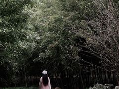 -黄公望隐居地