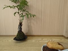 -佳瑜肠粉(总店)