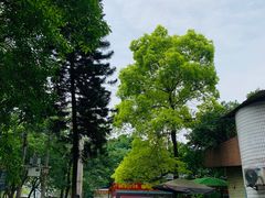 -春涛餐馆(下坝店)