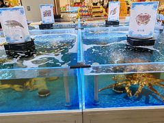 -哈尔信阳光农园超市(沈阳三台子万象汇店)
