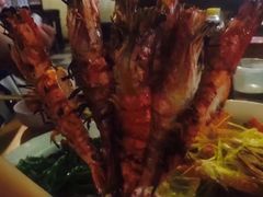 -芽庄珍珠岛游乐园