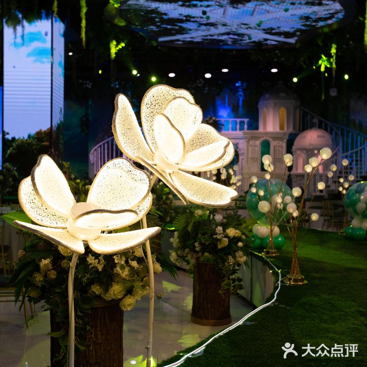 清晨的光落在娇嫩的花瓣上