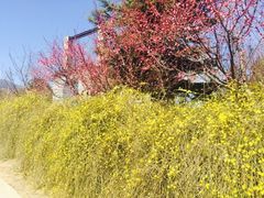 -北京鹫峰国家森林公园