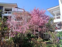 -云南滇池花园国际大酒店温泉