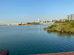 -五缘湾湿地公园
