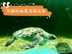 -天津市动物园