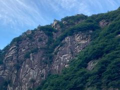 -王顺山国家森林公园