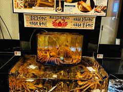 -蟹道乐(道顿堀本店)