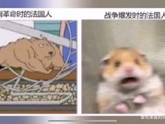 -老徐烧烤涮肚(交道口店)