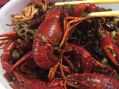 -海岛八号龙虾烧烤田鸡(蓝天路总店)