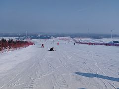 -呼兰河口湿地公园