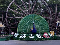 -呀路古热带植物园